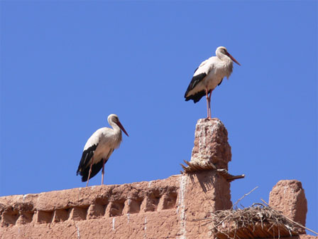 Morocco Morocco